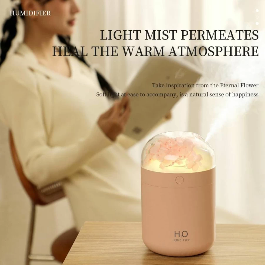 Jialong Portable Mini Humidifier - Quiet Cool Mist for Bedroom, Office, Travel with 2 Modes & Night Light, Ideal for Plants, Baby, and Desktop Use